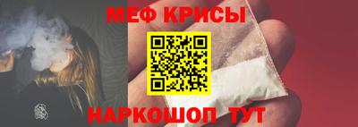 ешки Кингисепп