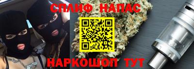 ешки Кингисепп
