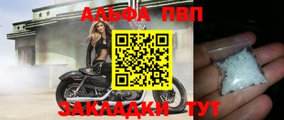 ешки Кингисепп