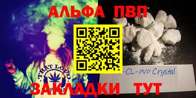 ешки Кингисепп