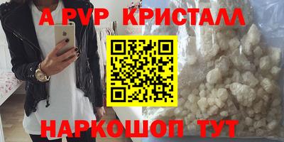 ешки Кингисепп