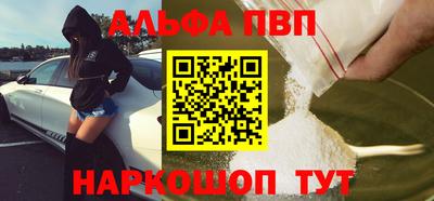 ешки Кингисепп